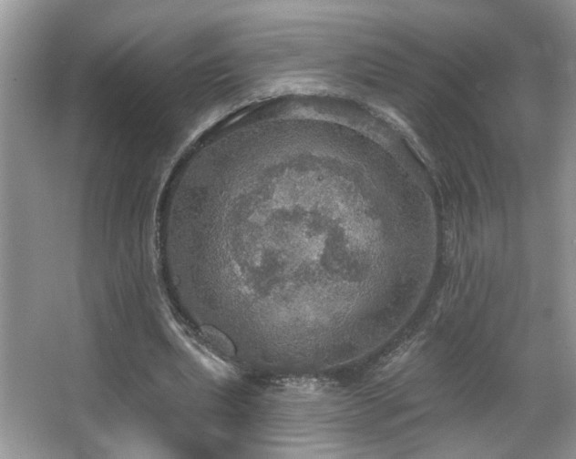 X0000067470439200604071158