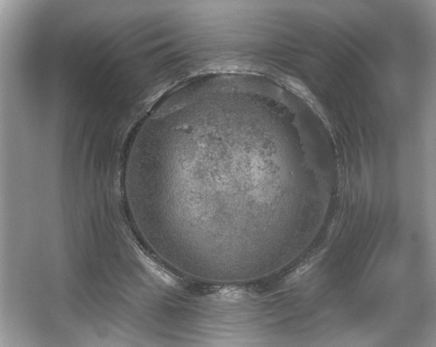 X0000067470441200604071158