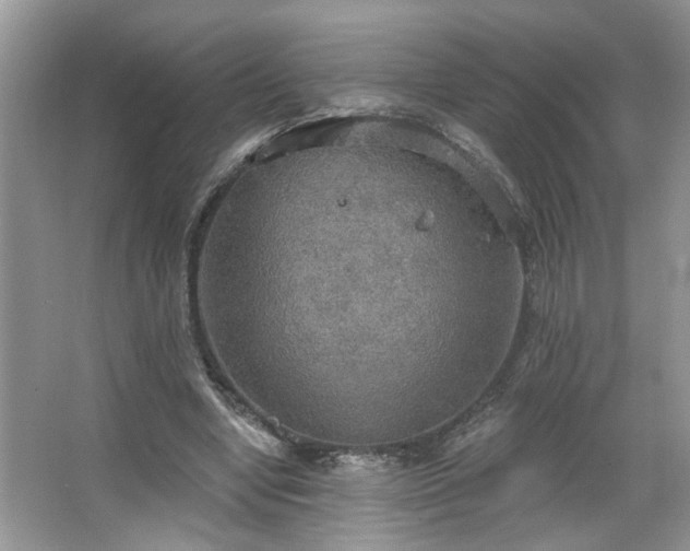 X0000067470442200604071158