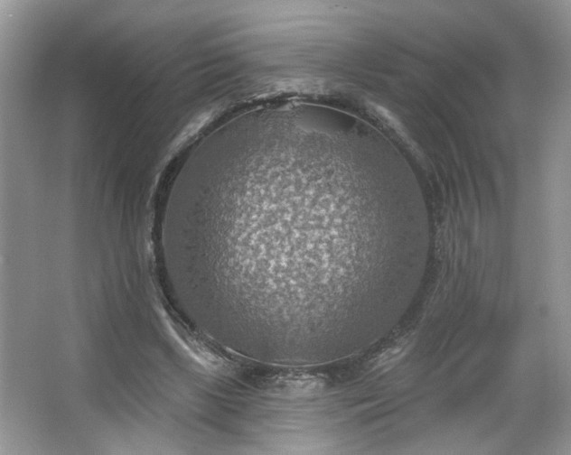 X0000067470443200604071158