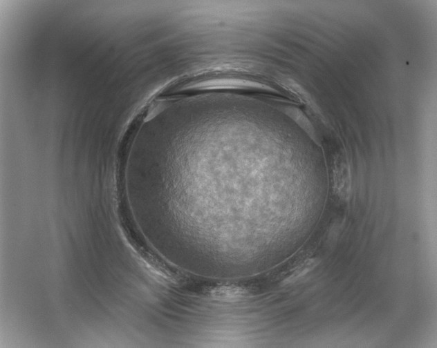 X0000067470444200604071158