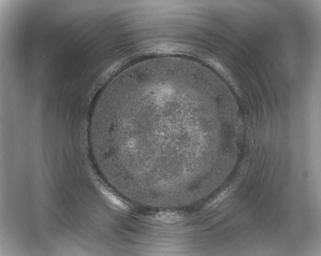 X0000067470445200604071158