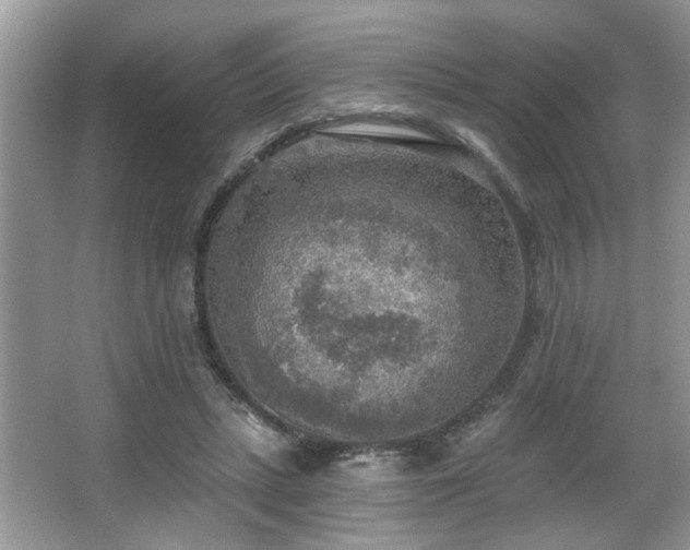 X0000067470447200604071158