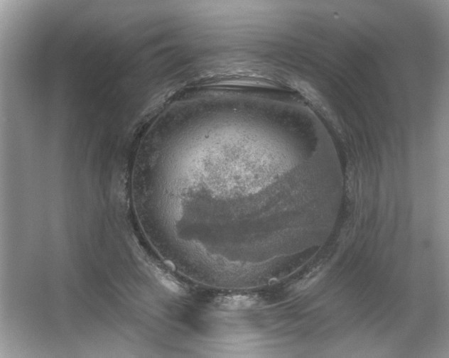 X0000067470449200604071158