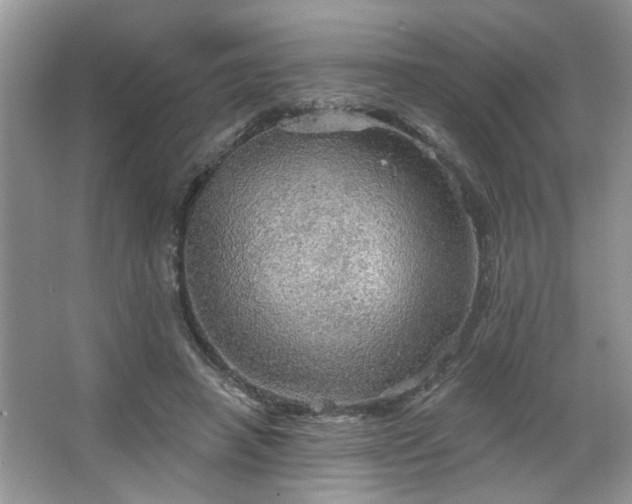 X0000067470450200604071158