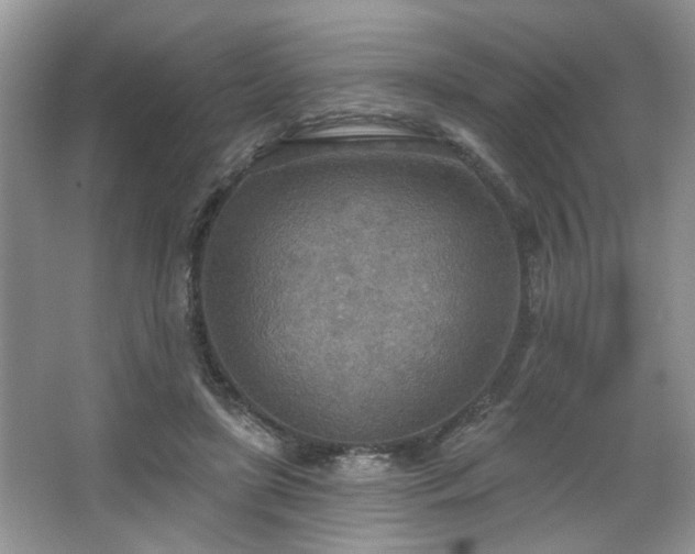 X0000067470451200604071158