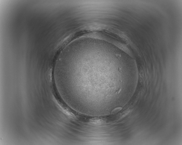 X0000067470454200604071158