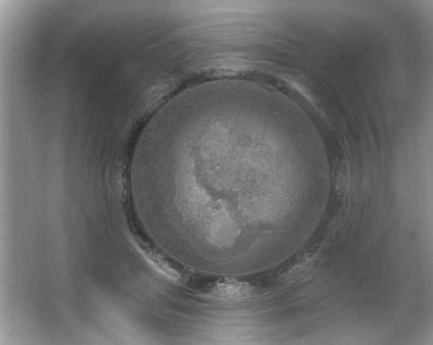 X0000067470455200604071158