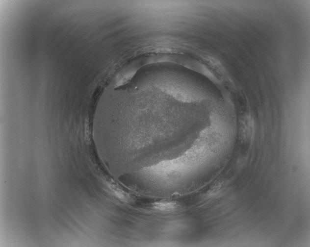 X0000067470457200604071158