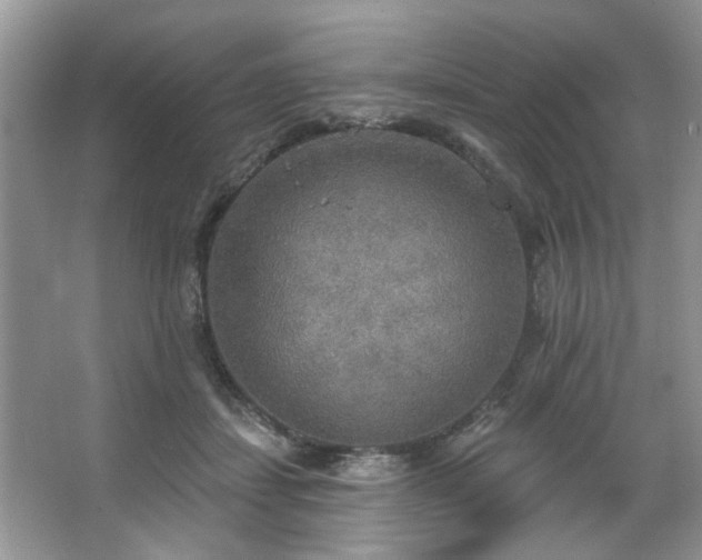 X0000067470459200604071158