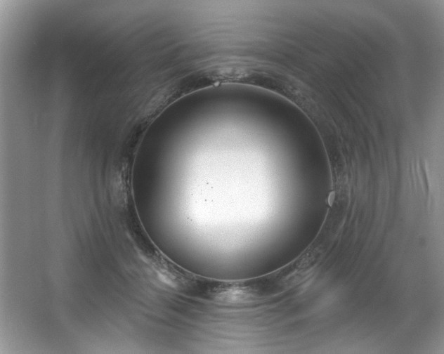 X0000067470460200604071158