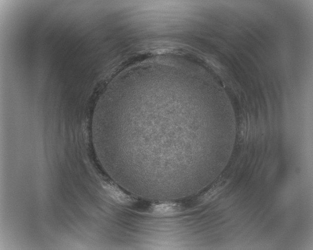 X0000067470461200604071158