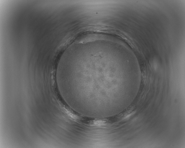 X0000067470462200604071158