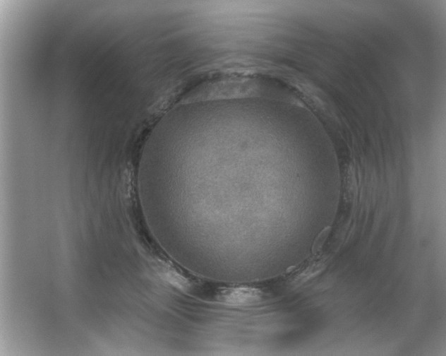 X0000067470463200604071159