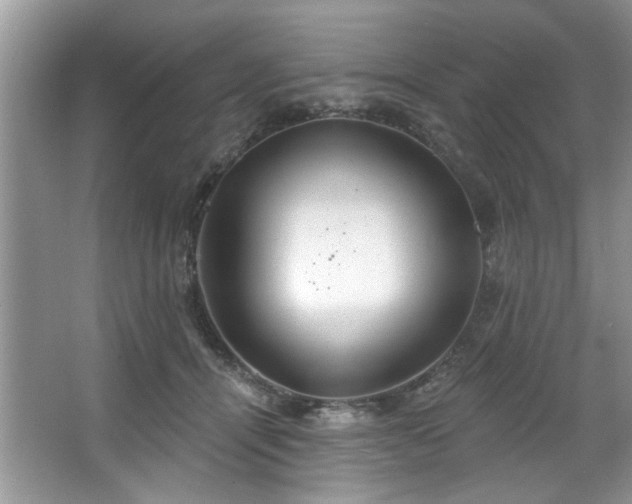 X0000067470464200604071159