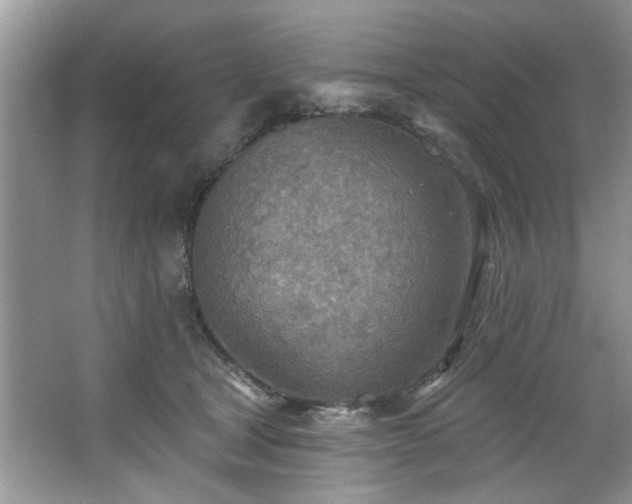 X0000067470465200604071159