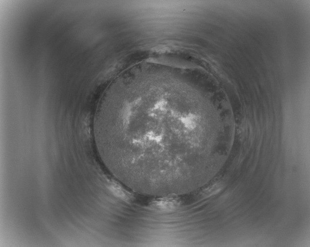 X0000067470466200604071159