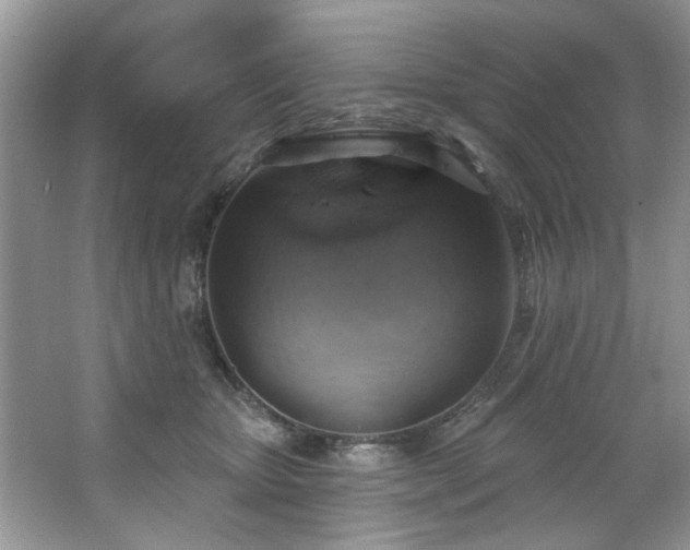 X0000067470467200604071159