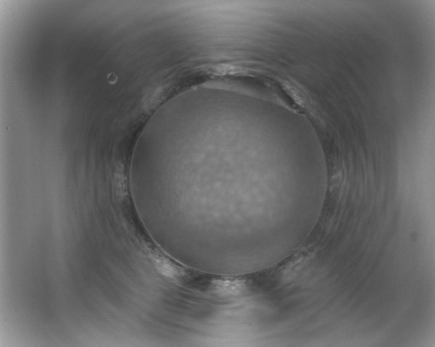 X0000067470469200604071159