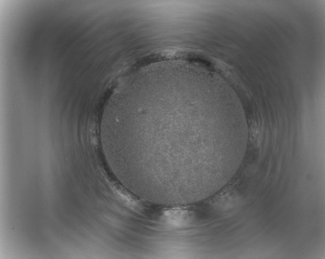 X0000067470470200604071159