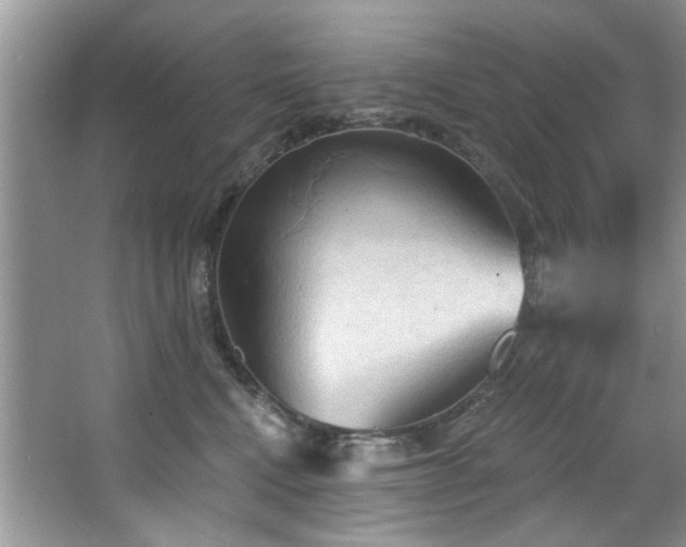 X0000067470472200604071159