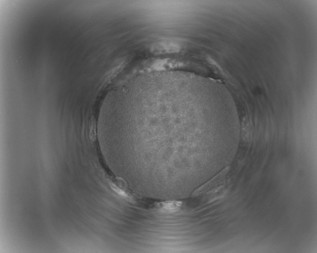 X0000067470474200604071159