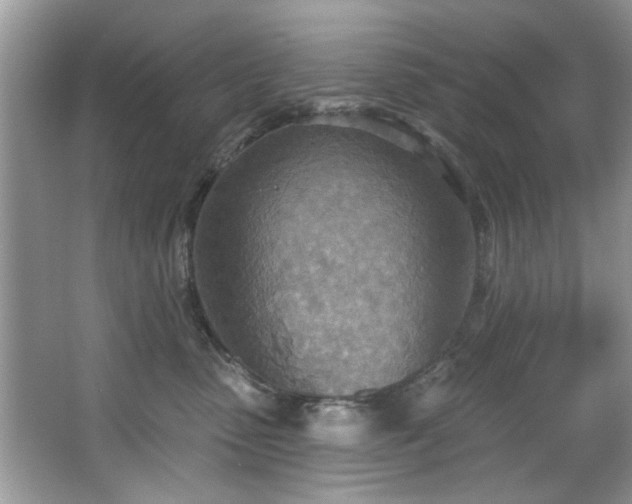 X0000067470475200604071159