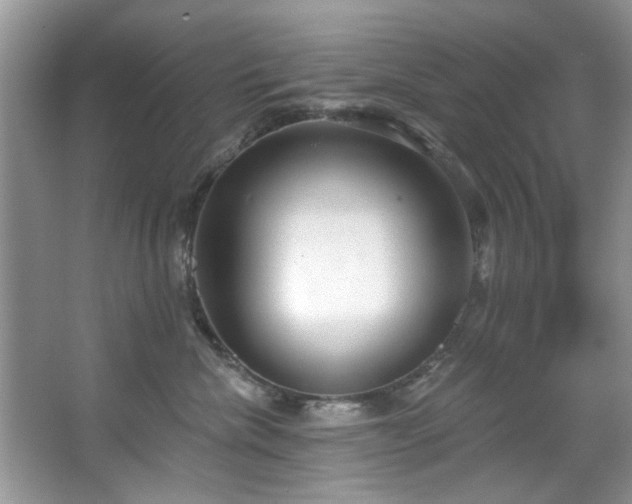 X0000067470476200604071159