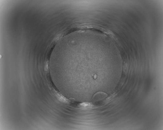 X0000067470477200604071159