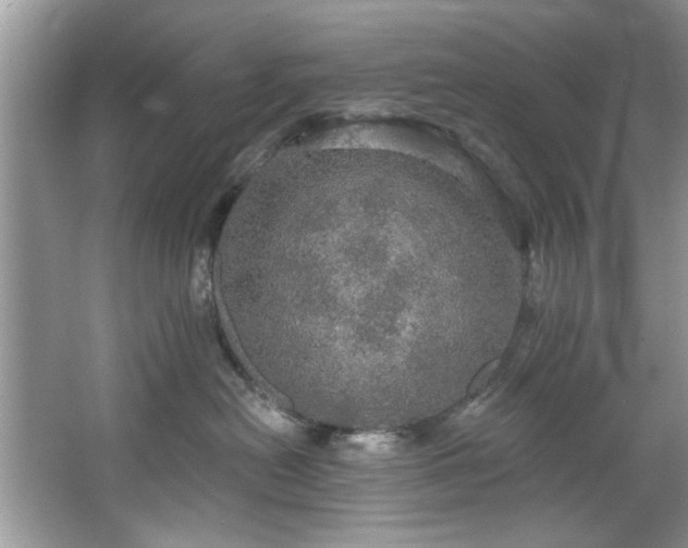 X0000067470478200604071159