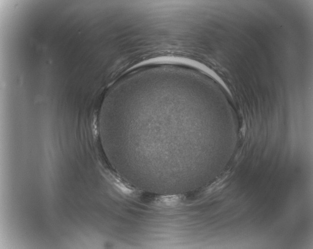 X0000067470479200604071159