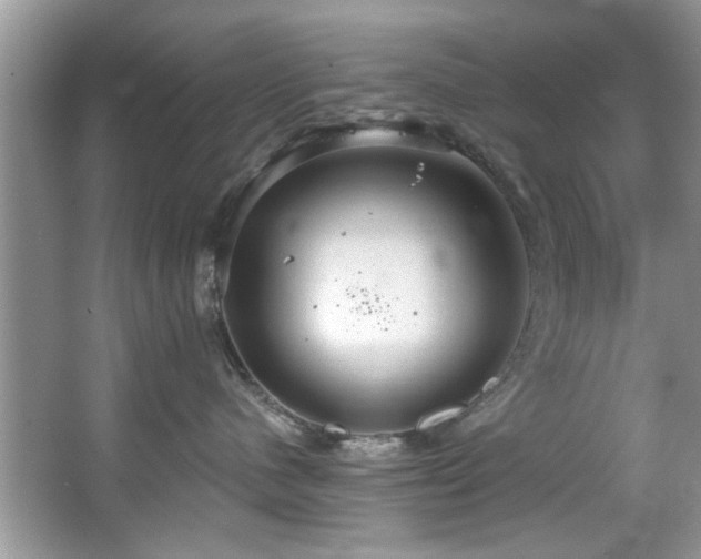 X0000067470480200604071159