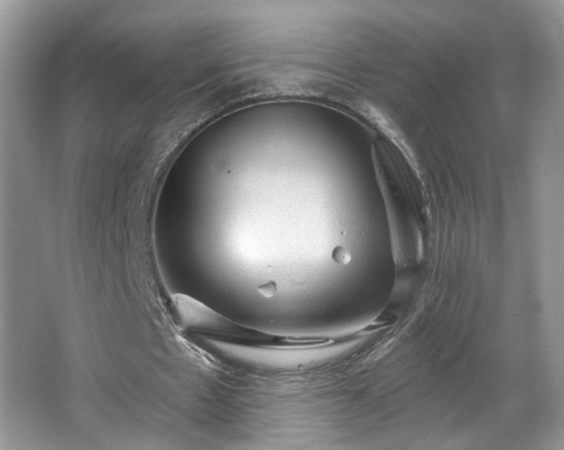 X0000067470481200604071158