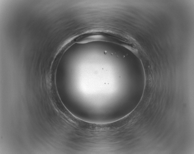 X0000067470484200604071158