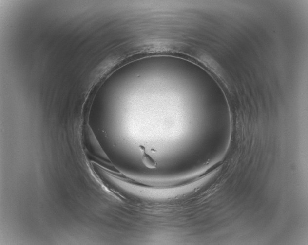 X0000067470485200604071158