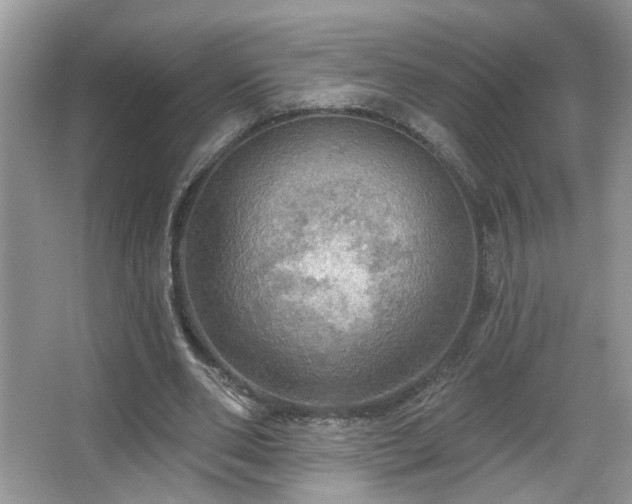 X0000067470486200604071158