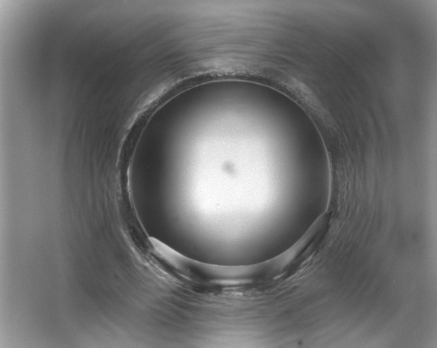 X0000067470488200604071158