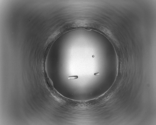 X0000067470489200604071158