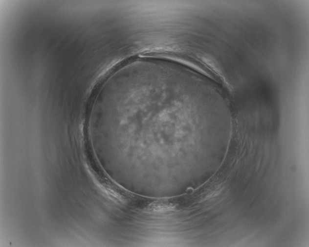 X0000067470491200604071158