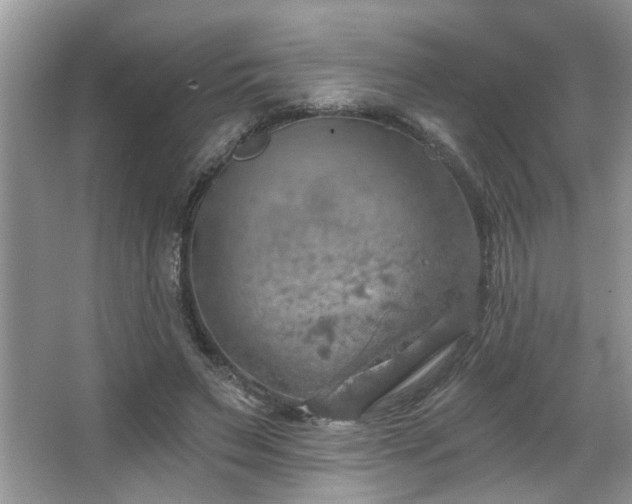 X0000067470495200604071158