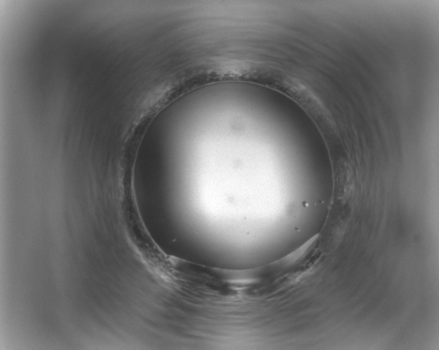 X0000067470496200604071158