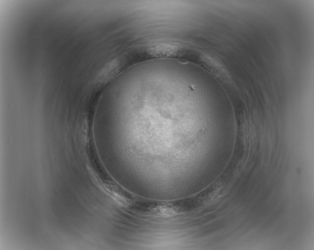 X0000067470498200604071158