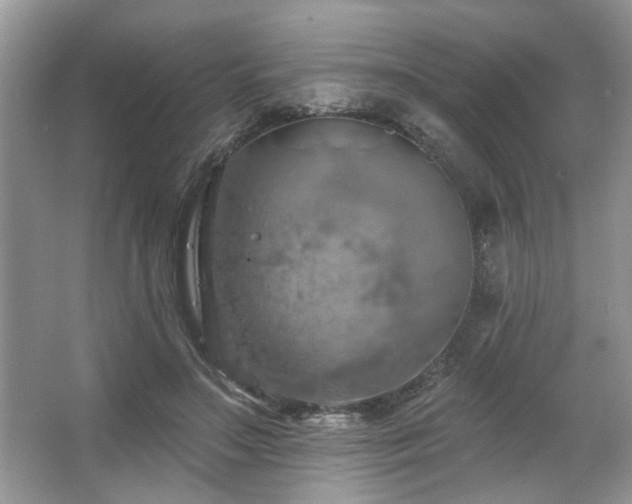 X0000067470499200604071158