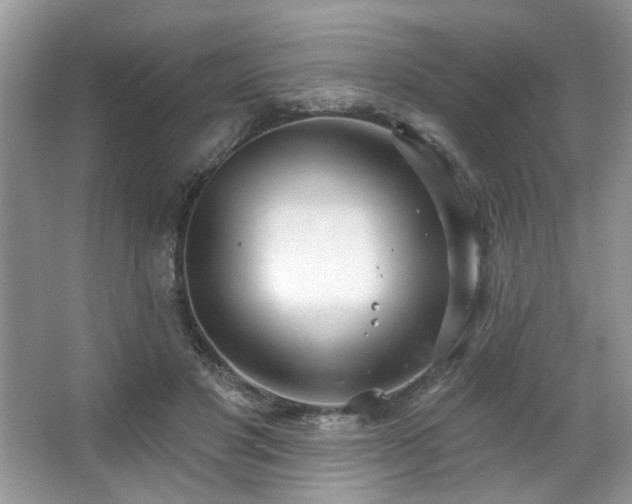 X0000067470501200604071158