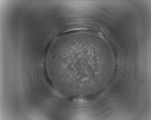 X0000067470503200604071158