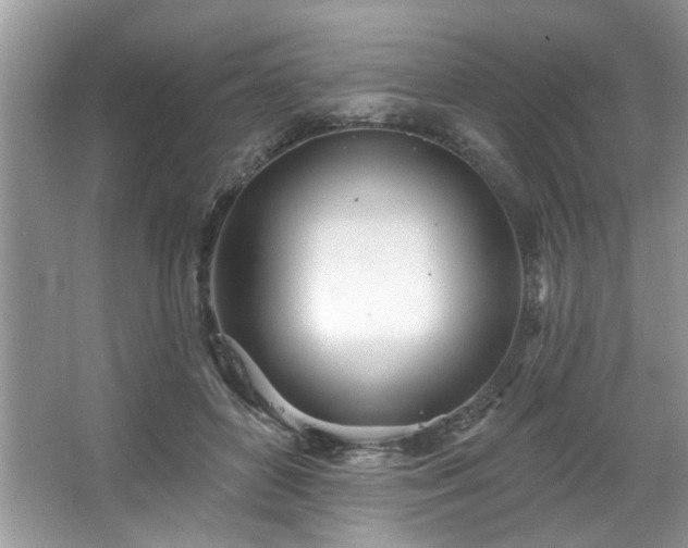 X0000067470504200604071158