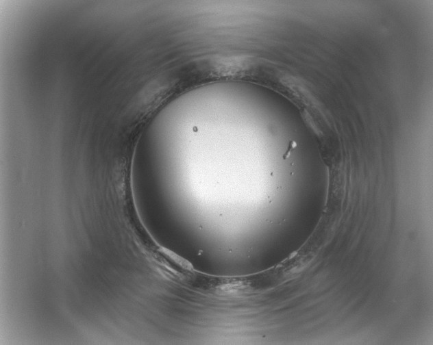 X0000067470505200604071158