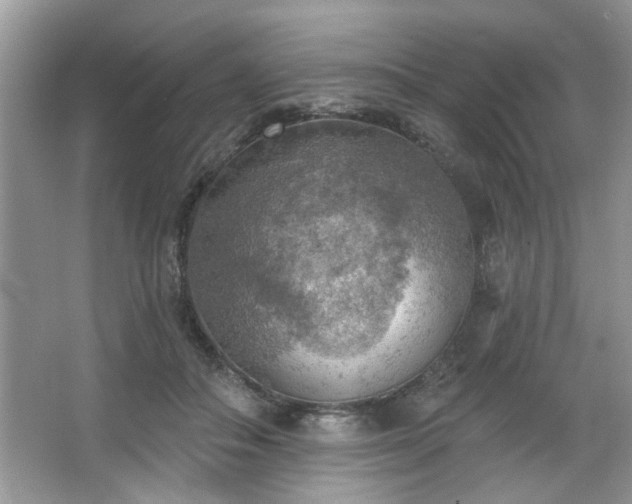 X0000067470506200604071158