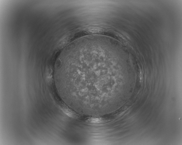 X0000067470507200604071158