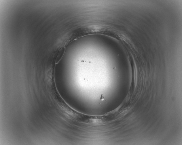 X0000067470509200604071158